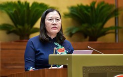 Bổ sung quy định cấm hành vi "thỏa thuận mua bán người từ khi còn đang là bào thai"