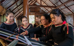 Khu vực Tây Nguyên và Nam Trung bộ: Tăng gắn kết với tổ chức Hội thông qua mô hình kinh tế tập thể