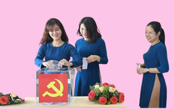 Quy chế bầu cử trong Đảng: Quy định về ứng cử, đề cử thế nào?