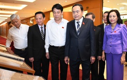 Chủ tịch nước, Chủ tịch Quốc hội thăm quan Triển lãm "Nhật báo Quốc hội với Tổng tuyển cử đầu tiên"