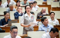 Người giám sát xử lý chuyển hướng: 12 trách nhiệm, 1 quyền lợi