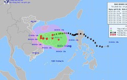 Tin bão số 6 (TRAMI) và các chỉ đạo ứng phó