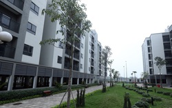Giá thuê nhà ở xã hội tại Hà Nội cao nhất 14 triệu đồng/tháng: Mức tiền này có thuộc diện người thu nhập thấp nữa không?
