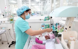 Lời giải nào cho "bài toán" mức sinh thấp?