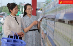 Tôn vinh thương hiệu sản phẩm và doanh nghiệp tiêu biểu đại diện cho Thương hiệu Quốc gia Việt Nam