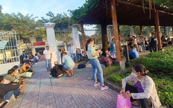 TPHCM: Bắt đầu áp dụng điều chỉnh các loại thuế phí đất đai 