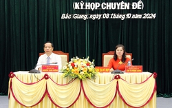 Bắc Giang: Miễn nhiệm Chủ tịch HĐND, Chủ tịch và Phó Chủ tịch UBND tỉnh