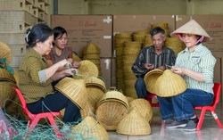 Phát triển hợp tác xã, góp phần giải bài toán "ly nông bất ly hương"