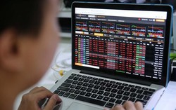 Chứng khoán tuần 11 - 15/11: VN-Index giao dịch ảm đạm trước áp lực từ khối ngoại