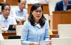 Đại biểu Quốc hội lo ngại tình trạng mỹ phẩm kém chất lượng tràn lan trên thị trường