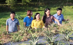 Hợp tác xã giúp phụ nữ Vũ Quang phát triển sản xuất và ổn định sản phẩm đầu ra