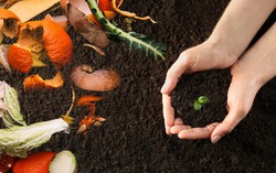 5 giải pháp xử lý rác thải thực phẩm, tránh lãng phí, giảm thiểu ô nhiễm môi trường