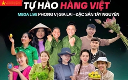 Đưa hàng Việt vươn mình trong kỷ nguyên số