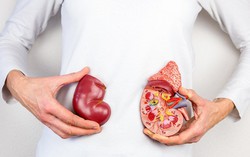 Những nguyên nhân phổ biến gây suy giảm chức năng thận nhưng nhiều người "bỏ qua"