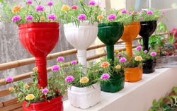 Sáng tạo với 5 món đồ tái chế tại gia