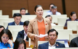 Dự thảo Luật Việc làm (sửa đổi): Cần công bằng với người làm nội trợ, việc làm tự nguyện