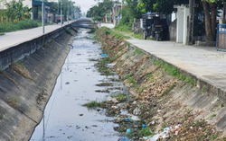 Hà Nam: Người dân ngộp thở vì nước thải chăn nuôi "nhuộm" đen kênh thủy lợi 