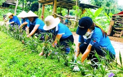 Nâng cao vị thế để phát huy sức mạnh đảng viên nữ người dân tộc thiểu số