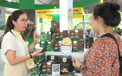 TPHCM: Gần 1.000 "đặc sản" tại Tuần lễ sản phẩm OCOP 2024