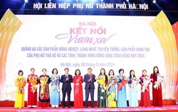 Khai mạc chương trình "Hà Nội kết nối - vươn xa"