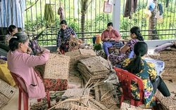 Bà Rịa - Vũng Tàu: Phụ nữ dân tộc thiểu số được chăm sóc thiết thực