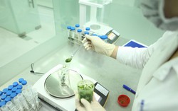 Cảnh báo thủ đoạn giả danh các đoàn thanh tra, kiểm tra về an toàn thực phẩm