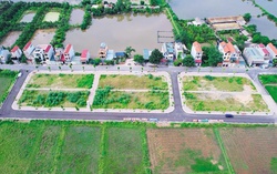 Thủ tướng chỉ đạo kịp thời chấn chỉnh công tác đấu giá quyền sử dụng đất