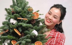 Cây thông độc lạ tạo điểm nhấn trên thị trường Giáng sinh 