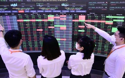 Chứng khoán tuần 16-20/12: Cơ hội giải ngân nhóm cổ phiếu đầu ngành