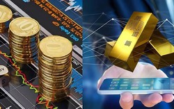 Cảnh báo lừa đảo đầu tư tài chính nhìn từ vụ Mr Pips