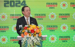 Liên kết với TPHCM là "chìa khóa" để vùng Đồng bằng sông Cửu Long vượt qua các thách thức