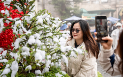 Đi đâu để đón Giáng sinh lung linh như trời Âu