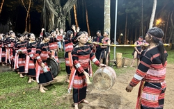 Gia Lai: Đưa cồng chiêng thành sản phẩm du lịch