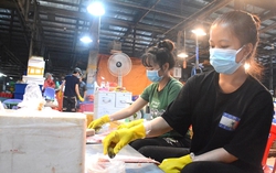 TPHCM: Các chợ đầu mối triển khai nhiều giải pháp quản lý an toàn thực phẩm