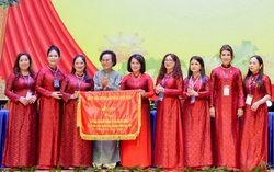 Hội Nữ doanh nhân tỉnh Bình Định: Triển khai hiệu quả công tác an sinh xã hội, bình đẳng giới