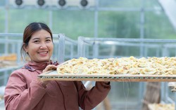 Nâng cao quyền năng kinh tế, giúp phụ nữ dân tộc thiểu số Sơn La giảm nghèo