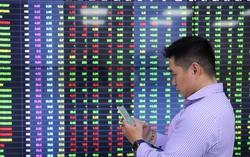 Chứng khoán tuần cuối năm 2024: Cơ hội giải ngân của nhà đầu tư