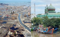 20 năm sau thảm họa sóng thần ở Ấn Độ Dương: Hồi sinh từ đau thương