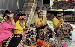 Hỗ trợ việc làm bền vững cho phụ nữ để giảm nghèo tại huyện Tương Dương 