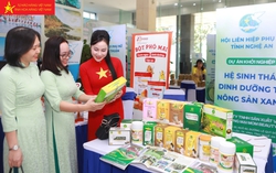 Phát triển hệ sinh thái dinh dưỡng từ hạt và ngũ cốc