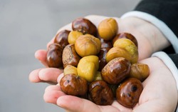 Mùa đông ăn hạt dẻ nướng cần chú ý điều này để không ngộ độc, viêm gan thận