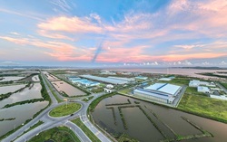 Thành lập Khu kinh tế ven biển phía Nam Hải Phòng