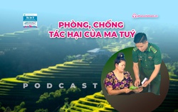 Podcast: Phòng, chống tác hại của ma túy
