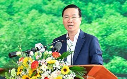 Chủ tịch nước Võ Văn Thưởng phát động Tết trồng cây "Đời đời nhớ ơn Bác Hồ" Xuân Giáp Thìn 2024