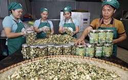 Kịp thời đáp ứng nhu cầu vay vốn của các đối tượng chính sách để phát triển sản xuất kinh doanh