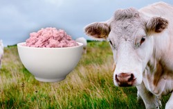 Các nhà khoa học vừa tạo ra gạo lai thịt bò: Phở, bún bò Huế và cơm rang dưa bò trong tương lai sẽ không còn có thịt?