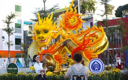 Đà Nẵng tập trung tất cả linh vật về làm công viên Rồng