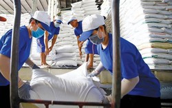 Xuất cấp hơn 7 nghìn tấn gạo cho 9 địa phương