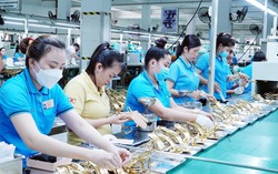 Lao động nông thôn có thể ngồi tại nhà tìm việc làm ở khu công nghiệp