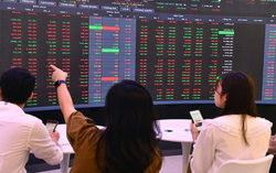 VN-Index giảm nhẹ sau chuỗi tăng dài, có gì đáng lo?